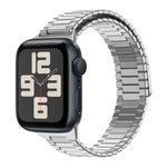 سوار ساعة معدني من الفولاذ المقاوم للصدأ المغناطيسي بنمط الخيزران، لساعات Apple Watch SE 2023 44mm، وApple Watch SE 2023 40mm، وApple Watch Ultra 2 49mm، وApple Watch Series 9 45mm، وApple Watch Series 9 41mm، وApple Watch Ultra 49mm