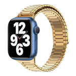 سوار ساعة معدني من الفولاذ المقاوم للصدأ المغناطيسي بنمط الخيزران، لساعات Apple Watch Series 8 41mm، وApple Watch Series 8 45mm، وApple Watch SE 2022 40mm، وApple Watch SE 2022 44mm، وApple Watch Series 7 41mm، وApple Watch Series 7 45mm