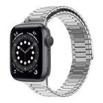 سوار ساعة معدني من الفولاذ المقاوم للصدأ المغناطيسي بنمط الخيزران، لساعات Apple Watch Series 6 40mm، وApple Watch Series 6 44mm، وApple Watch Series 5 44mm، وApple Watch Series 5 40mm، وApple Watch Series 4 44mm، وApple Watch Series 4 40mm