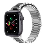 سوار ساعة معدني من الفولاذ المقاوم للصدأ المغناطيسي بنمط الخيزران، لساعات Apple Watch Series 6 40mm، وApple Watch Series 6 44mm، وApple Watch Series 5 44mm، وApple Watch Series 5 40mm، وApple Watch Series 4 44mm، وApple Watch Series 4 40mm