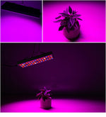 25W 75LEDs Full Spectrum Plant Lighting Fitolampy For Plants Flowers Seedling Cultivation Growing Lamps LED Grow Light  AC85-265V, US, EU