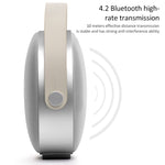 مكبر صوت W-KING T8 HIFI بقوة 30W مكبر صوت بلوتوث محمول عالي الطاقة مع راديو FM لمكبر صوت بلوتوث محمول