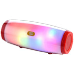مكبر صوت محمول T&G TG165 بقوة 5W*2 مع ضوء LED راقص وامض، MP3 AUX USB راديو FM ستيريو مضخم صوت