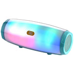 مكبر صوت محمول T&G TG165 بقوة 5W*2 مع ضوء LED راقص وامض، MP3 AUX USB راديو FM ستيريو مضخم صوت