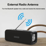 مكبر صوت بلوتوث لاسلكي T9 4.2 بقوة 10W صندوق صوت محمول راديو FM رقمي ستيريو محيطي ثلاثي الأبعاد، يدعم التحدث الحر وTF وAUX