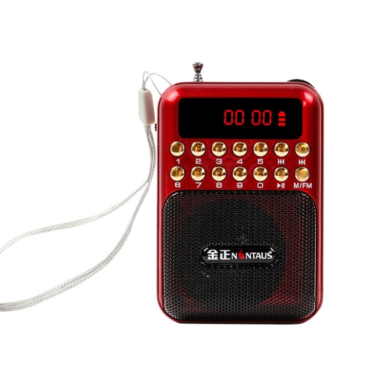 مكبر صوت راديو FM محمول قابل لإعادة الشحن، يدعم USB / بطاقة TF / مشغل موسيقى MP3