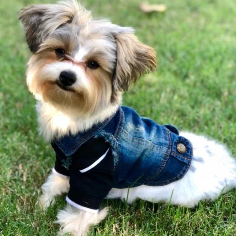سترة جينز صغيرة بشخصية عتيقة ملابس كلاب أليفة، L، XL، XS، M