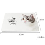 Bathroom Toilet Quick-Drying Absorbent Non-Slip Mats Diatom Ma, 60 x 40 cm