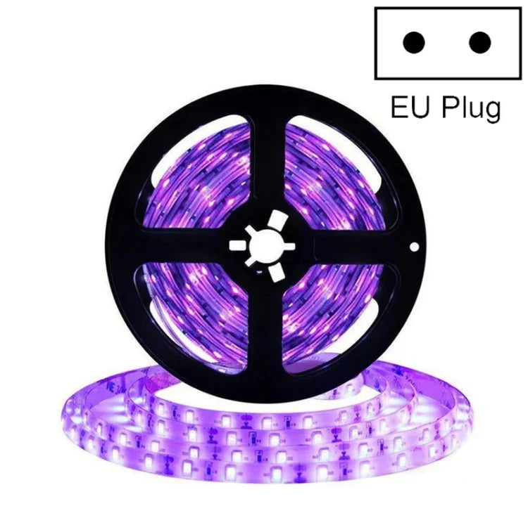 شريط إضاءة LED SMD 2835 ضوء بنفسجي فوق بنفسجي، شريط إضاءة زخرفي مقاوم للماء 5 أمتار، مقاوم للماء 10 أمتار، شريط عاري 5 أمتار، شريط عاري 10 أمتار