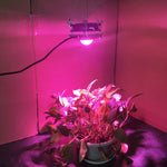 ضوء نمو النباتات LED COB للزراعة النباتية والورقية، طيف كامل، ضوء شمس