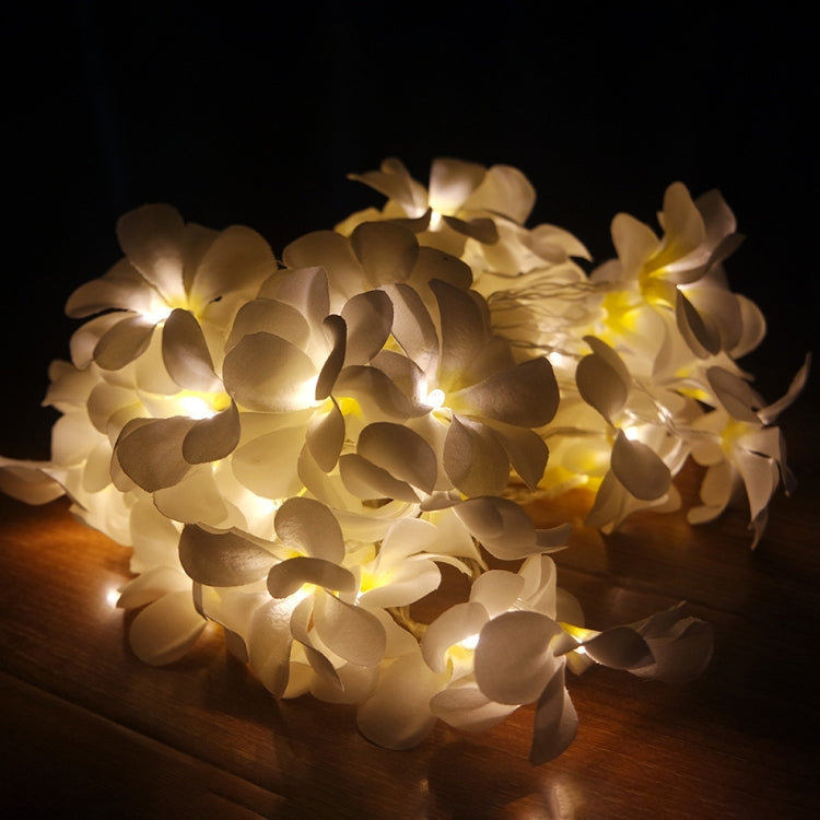 1.5 متر، 10 مصابيح LED، أضواء سلسلة دافئة بيضاء تعمل بالبطارية، إضاءة ديكور إبداعية DIY على شكل زهرة فرنجباني، إضاءة حفلات وفعاليات وزينة غرف النوم
