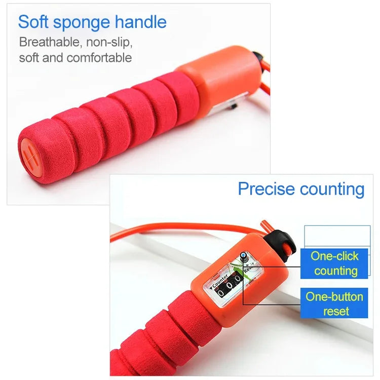 نص بديل للصورة