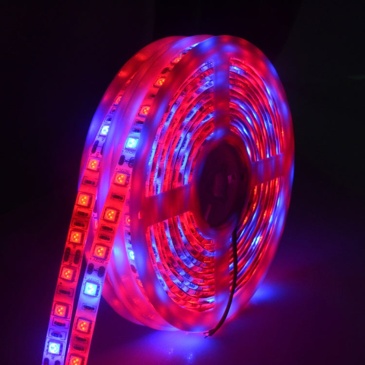 شريط أضواء LED 5م 300 LED SMD 5050 طيف كامل Fitolampy أضواء نمو لبيت زجاجي زراعة مائية، مقاوم للماء