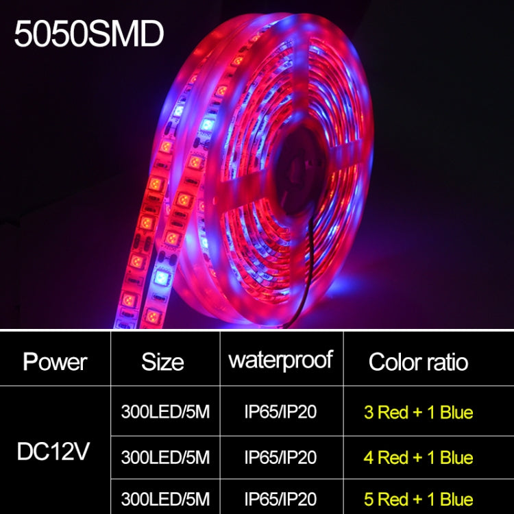 شريط أضواء LED 5م 300 LED SMD 5050 طيف كامل Fitolampy أضواء نمو لبيت زجاجي زراعة مائية، مقاوم للماء