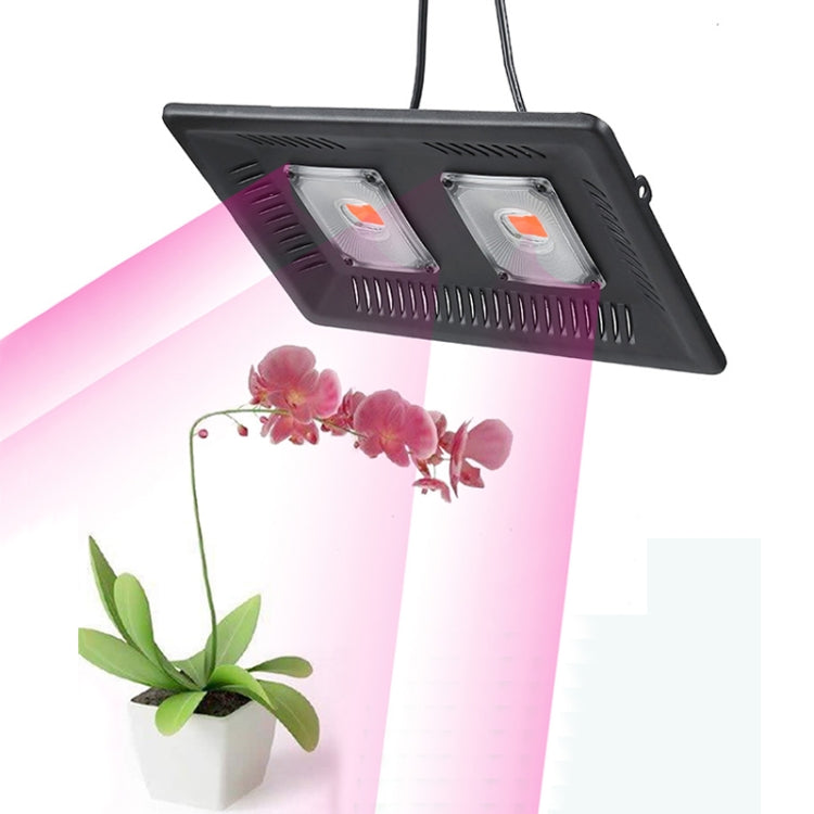 ضوء نبات LED فائق النحافة، ضوء نمو COB بطيف كامل، ضوء تعبئة دفيئة للخضروات والفواكه والزهور بدون قابس، 50W، 100W، 150W