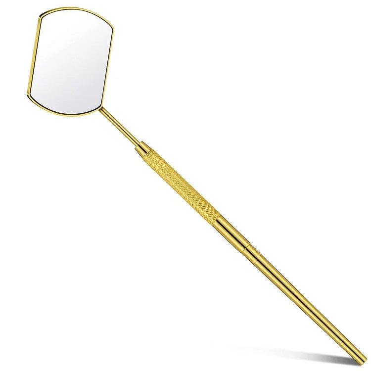 نص بديل للصورة