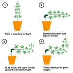 HF-09 Plant Bending Control Growth Training Clip Garden Decoration, 15 PCS