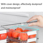 Fruit and Vegetable Refrigerator Crisper with Lid, With Lid, TY-9078, TY-9079, TY-9081, TY-9082