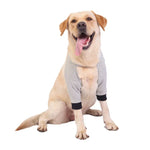 واقيات ركب الحيوانات الأليفة، دعامة كوع كلب قابلة للتنفس، دعامة الساق الأمامية، S, M, L, XL, XXL