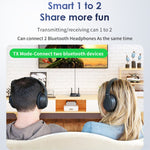 B39 2 In 1 Bluetooth 5.3AUX Music Receiver TV Computer Adapter, B39