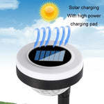 مصباح أرضي خارجي يعمل بالطاقة الشمسية بمصدر ضوء LED مزدوج، JG04801 ضوء ملون، JG04802 ضوء ملون، JG04803 لهب، JG04804 لهب