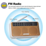 مكبر صوت بلوتوث Rolton E500 بقناة 2.1 مع ميكروفون مدمج يدعم راديو FM