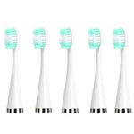 Electric Dental Scaler Accessories Replacement Head, White Basic, White Exclusive, Black Basic, Black Exclusive, Green Basic, Green Exclusive, 5pcs Toothbrush Head White, 5pcs Toothbrush Head Black, 5pcs Toothbrush Head Green