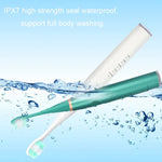 Electric Dental Scaler Accessories Replacement Head, White Basic, White Exclusive, Black Basic, Black Exclusive, Green Basic, Green Exclusive, 5pcs Toothbrush Head White, 5pcs Toothbrush Head Black, 5pcs Toothbrush Head Green