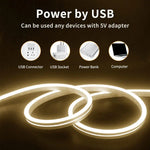 شريط إضاءة LED نيوني مرن من السيليكون USB 5 فولت 2 متر مع تحكم باللمس، USB تحكم باللمس (وردي)، USB تحكم باللمس (أبيض دافئ)، USB تحكم باللمس (أزرق)