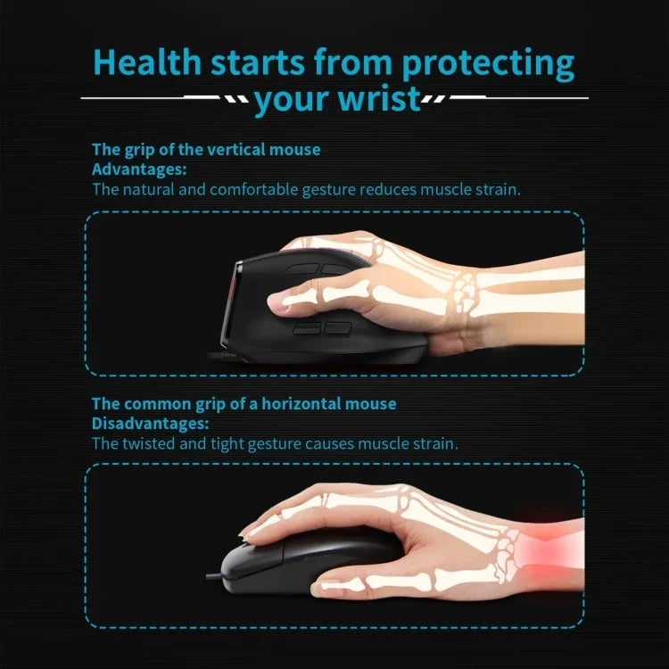 ZELOTES F36 قبضة رأسية مريحة ببرمجة 9 مفاتيح مزدوجة البلوتوث + 2.4G فأرة لاسلكية، F36 (أبيض)، F36 (أسود)