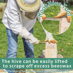 12-In-1 Beekeeping Starter Set Honey Bee Hive Tools