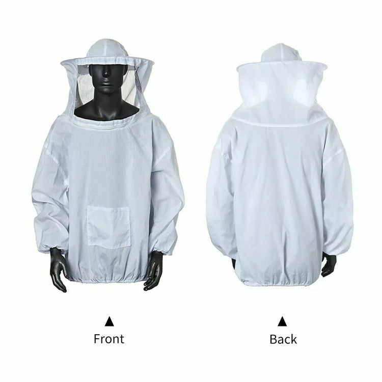 画像代替テキスト