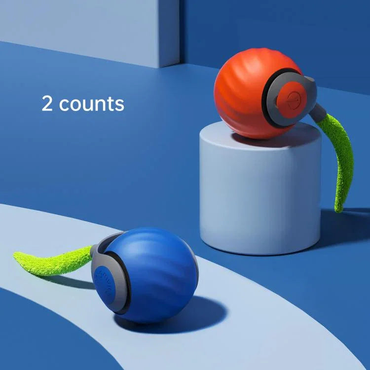 نص بديل للصورة