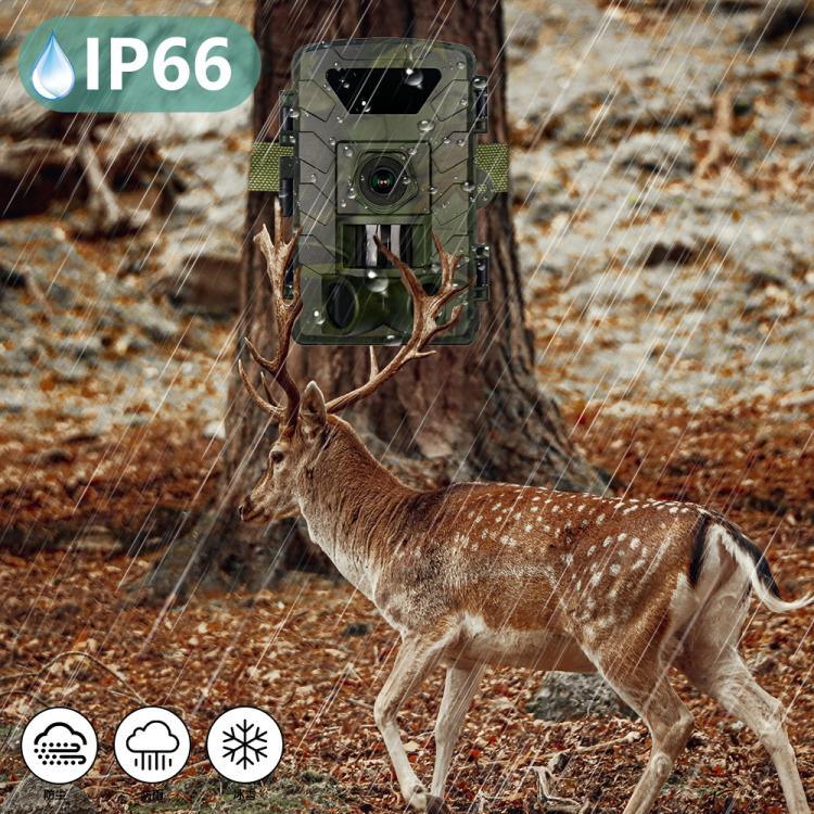 كاميرا صيد واي فاي بدقة فيديو 8K فائقة الوضوح وصورة 60 ميجابكسل، PR803W