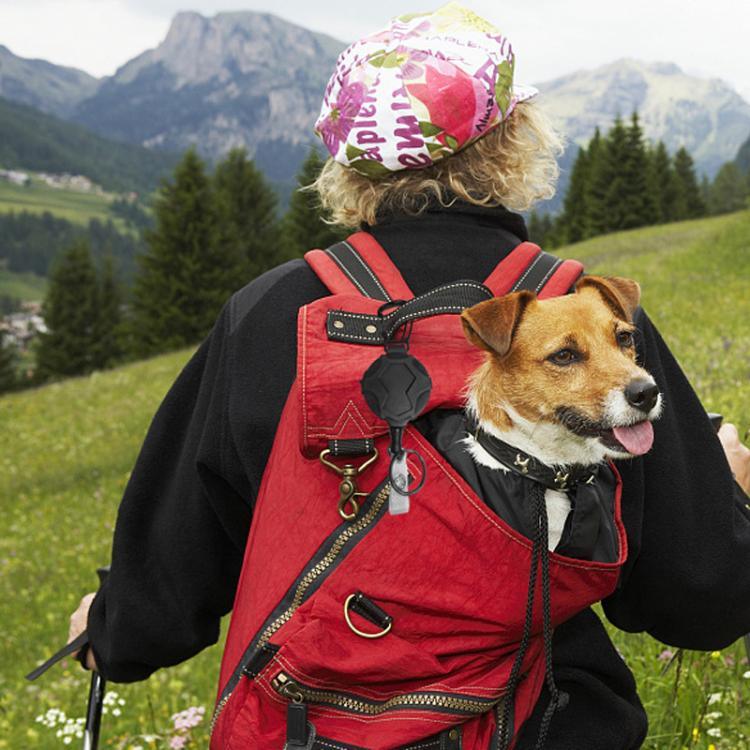 画像代替テキスト