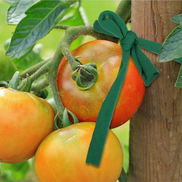 画像代替テキスト