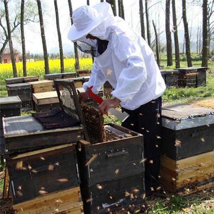 Stainless Steel Curved Tail Beehive Scraper Beekeeping Tools