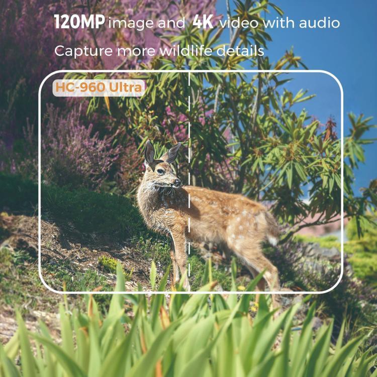 كاميرا تتبع خارجية 4K 4G مع تحكم عن بعد عبر التطبيق، تدعم FTP/SMTP/APP، HC-960Ultra-Li