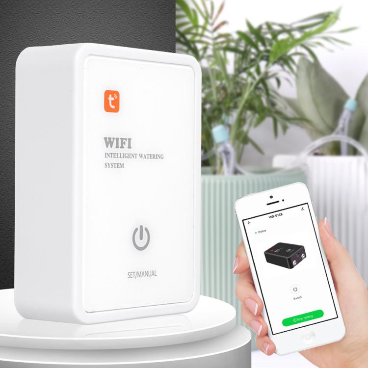 画像代替テキスト