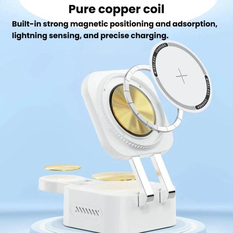 نص بديل للصورة