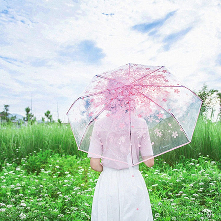 مظلة شفافة ثلاثية الطي بتصميم أزهار الكرز، مظلة فردية قابلة للطي