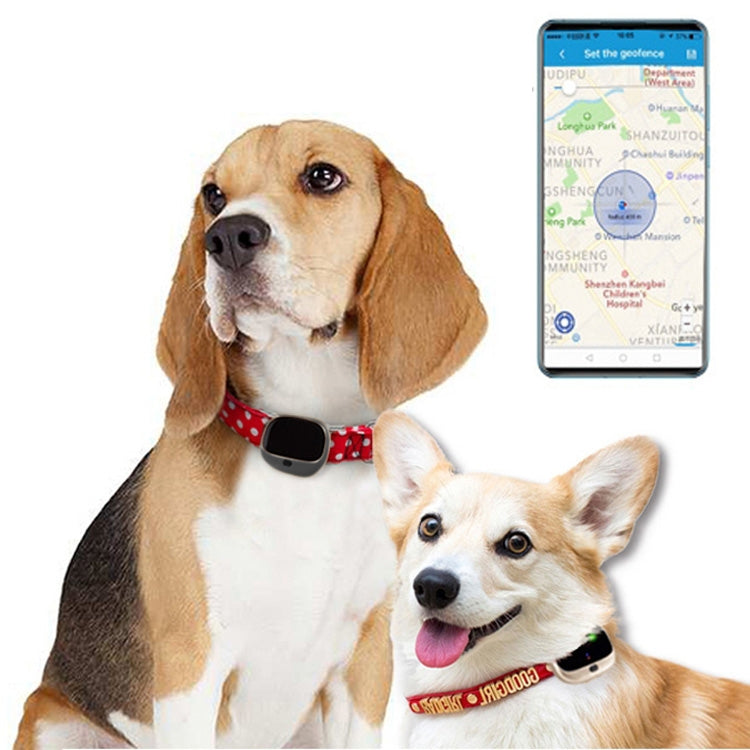 جهاز تعقب طوق الحيوانات الأليفة RF-V43 A بنمط مقاوم للماء IP67 مع GPS + LBS + واي فاي لأوروبا/آسيا/أفريقيا/أستراليا، RF-V43 A بنمط (أبيض)، RF-V43 A بنمط (أسود)