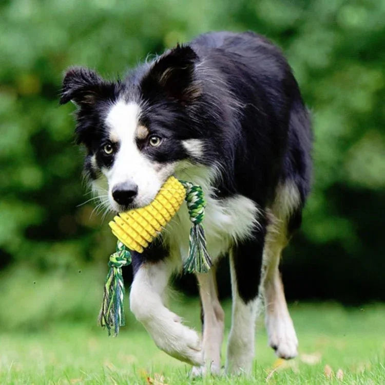 Dog Teething Stick Pet Chewing Toy - Trustpick