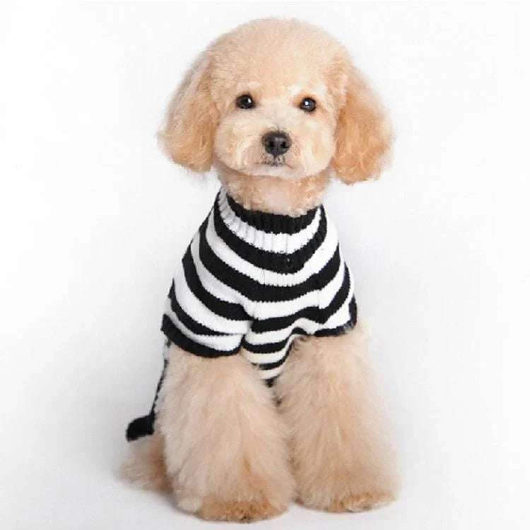 Halloween Skull Pet Sweater Cat & Dog Costume - Trustpick