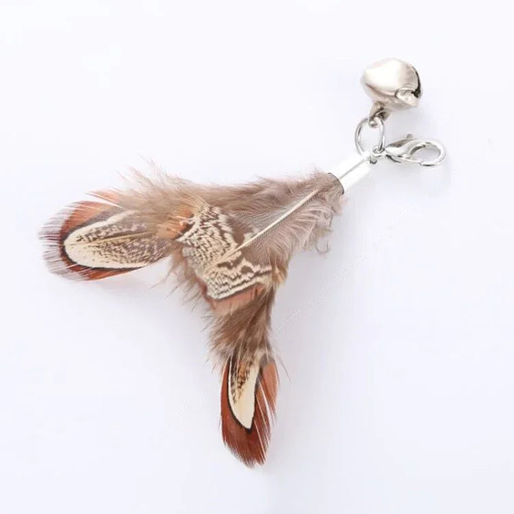 نص بديل للصورة